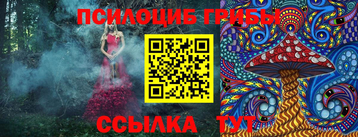Мариинск  Псилоцибиновые грибы мухоморы  Вход с VPN 